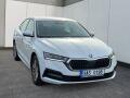 N�hled 1