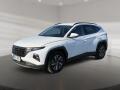 Hyundai Tucson SMART 1.6TGDI 110kW CZ DPH