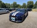 Ford Mustang 5.0 V8 Performance Coyot