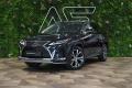 Lexus RX 300 4X4*CVT*BUSINESS EDITION*DRCC