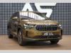 koda Kodiaq TDI 7-Mst Nez.Top Mas Tan