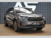 koda Kodiaq TDI 7-Mst Nez.Top Mas Tan