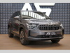 koda Kodiaq TDI NezTop Tan Mas 360 DCC