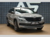 koda Kodiaq RS TDI 176kW Tan Canton DCC