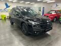 Subaru Outback 2.5 FIELD 2025 | Z�ruka
