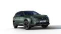 Peugeot 5008 BUSINESS ELECTRIC 213k 73 kWh