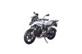 BMW R 1300 GS