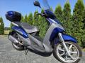 Peugeot Geopolis 250 