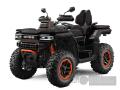 GOES Terrox 1000 Limited T3b