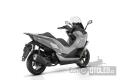 N�hled 4