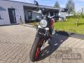 N�hled 3