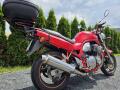 N�hled 4
