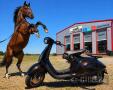 N�hled 2