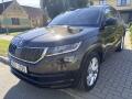 �koda Kodiaq 2.0TDI 110KW 4x4 DSG 