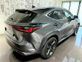 N�hled 5