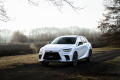 Lexus RX 450h+ 2.5 PHEV F SPORT DESIGN