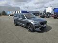 �koda Kodiaq 2.0 TSI RS 180kW 4x4 7 m�st 