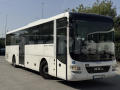 MAN Intercity- 81mst