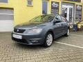 Seat Toledo 1.4 TDi (66kW)*TAN ZAZEN*