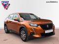 Peugeot 2008 Active PureTech 100 S&S MAN6