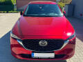 N�hled 15