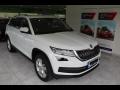 Škoda Kodiaq 2.0 tdi styleplus 4x4 dsg kůže