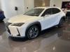 Lexus UX 300e 2.0l