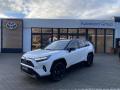 Toyota RAV4 2.5 HEV 4x4 Selection