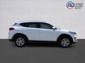 N�hled 4