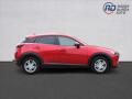 N�hled 4