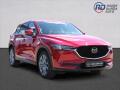 N�hled 3