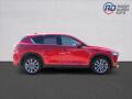 N�hled 4