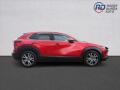 N�hled 4