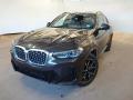 BMW X4 xDrive30i Laser Nezvisl Pano