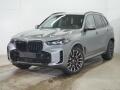 BMW X5 xDrive 40D Ta�n� Nez�visl� Pan