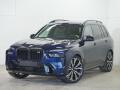 BMW X7 xDrive M60i Ta�n� Bowers Venti