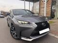 Lexus NX 300h 300h