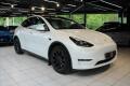 Tesla Model Y Long Range Dual Motor AWD Ta�n