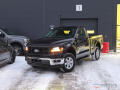 Ford F-150 2025 F150 Regular 5.0 V8