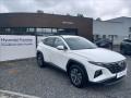 Hyundai Tucson 1.6 T-GDI MHEV 110kW SMART DCT