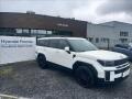 Hyundai Santa Fe 1.6 HEV 7S 4WD AT CALLIGRAPHY