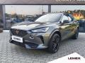 Cupra Formentor 2.0 TSI/180kW Tribe Edit DSG