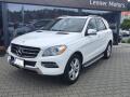 Mercedes-Benz 250 CDI/150kW 4Matic AT
