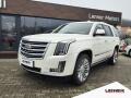 Cadillac Escalade 6.2/313kW V8 AWD Platinum