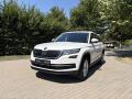 �koda Kodiaq 1.5 TSi 110kw Ambition