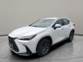 Lexus NX 350h Business Edition 2.5 HEV 2x4