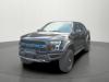 Ford F-150 RAPTOR 3.5 RAPTOR 336kW