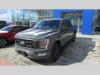 Ford F-150 5.0 V8/295 KW  SPORT 4WD