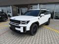 Hyundai Santa Fe 1.6 T-GDI PHEV  CALLIGRAPHY 7S