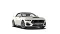 Ford Mustang V8 GT, Convertible, 5.0 GT 328